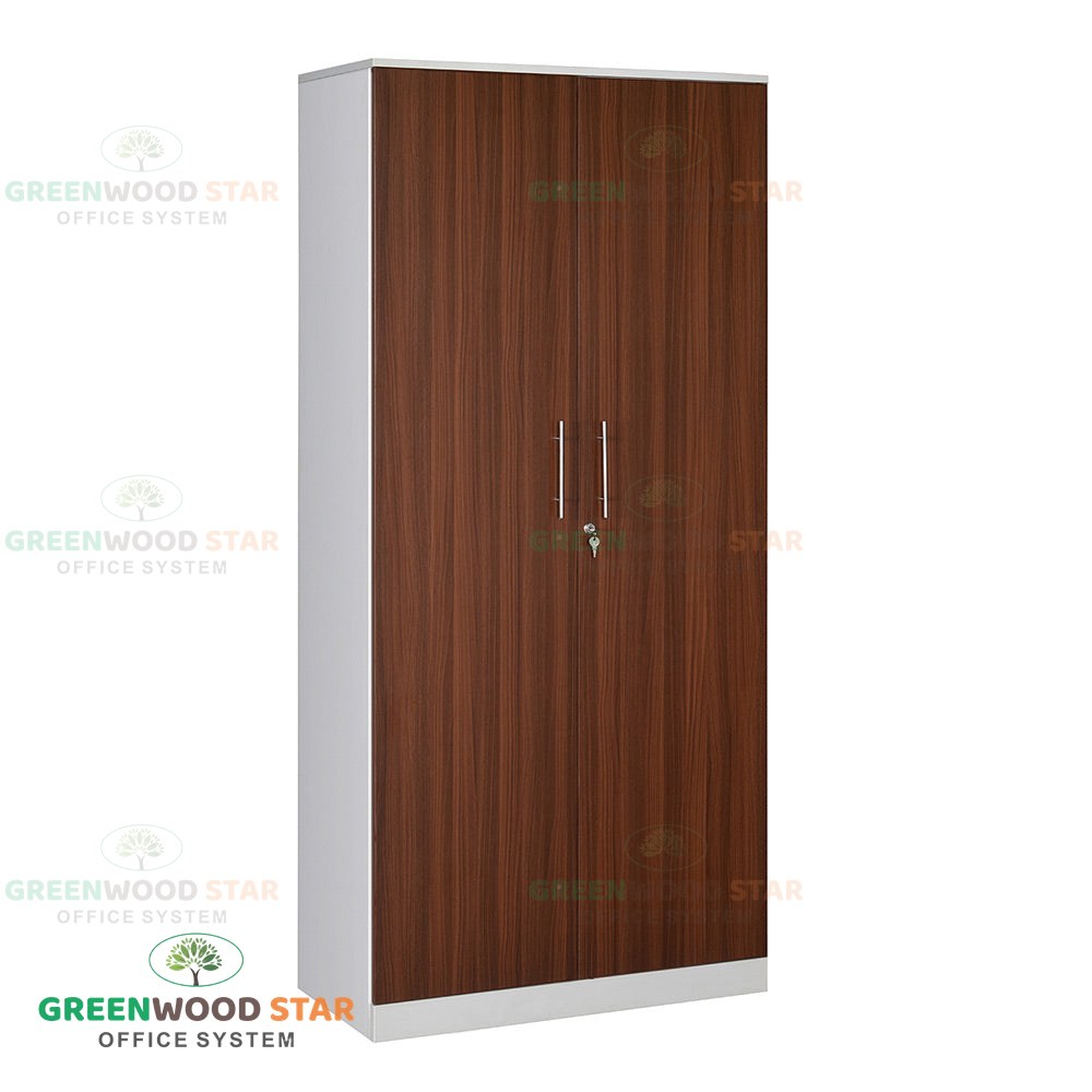 Office Storage Almirah with Wooden Door