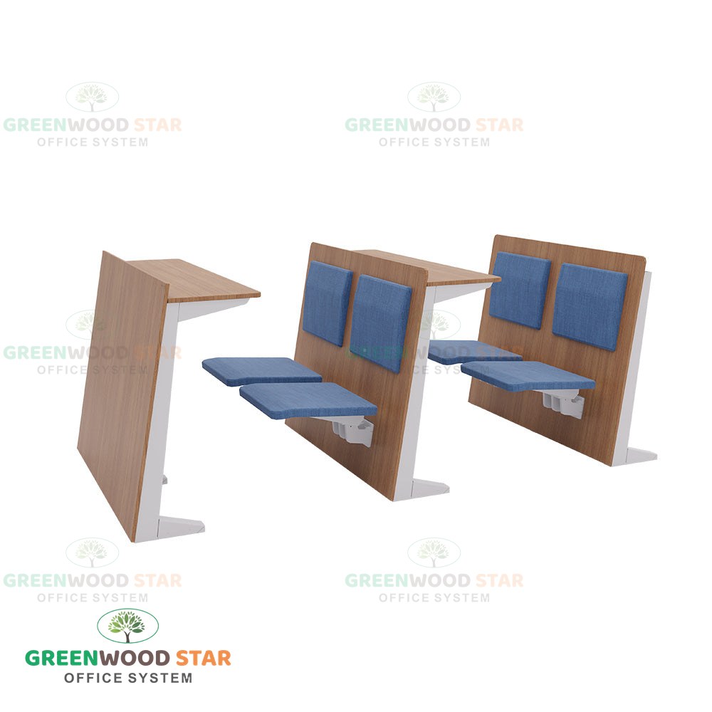 Auditorium Seating
